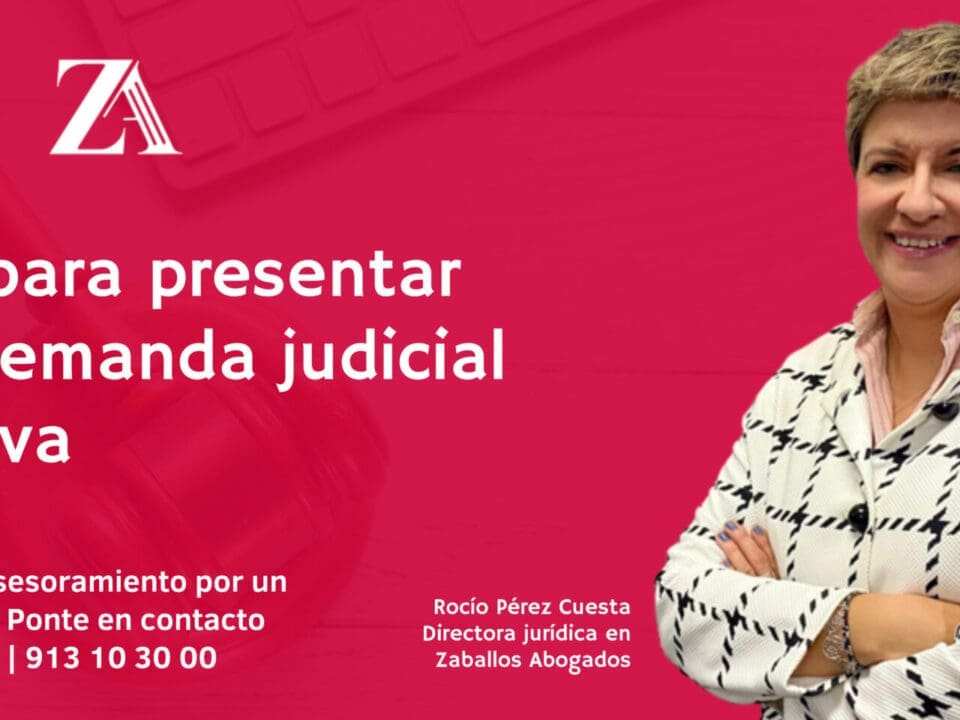 Foto de Rocío Pérez Cuesta - Guía para presentar una demanda judicial efectiva